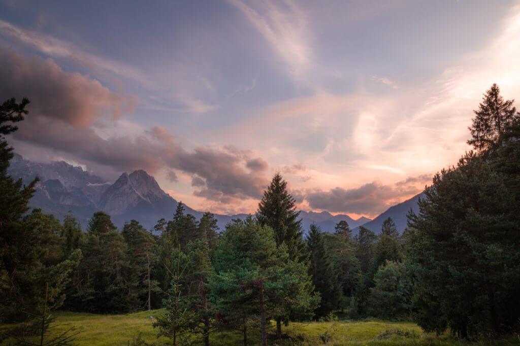 Zirbenwald, Zirbenbaum Landschaft Zirbenbaum