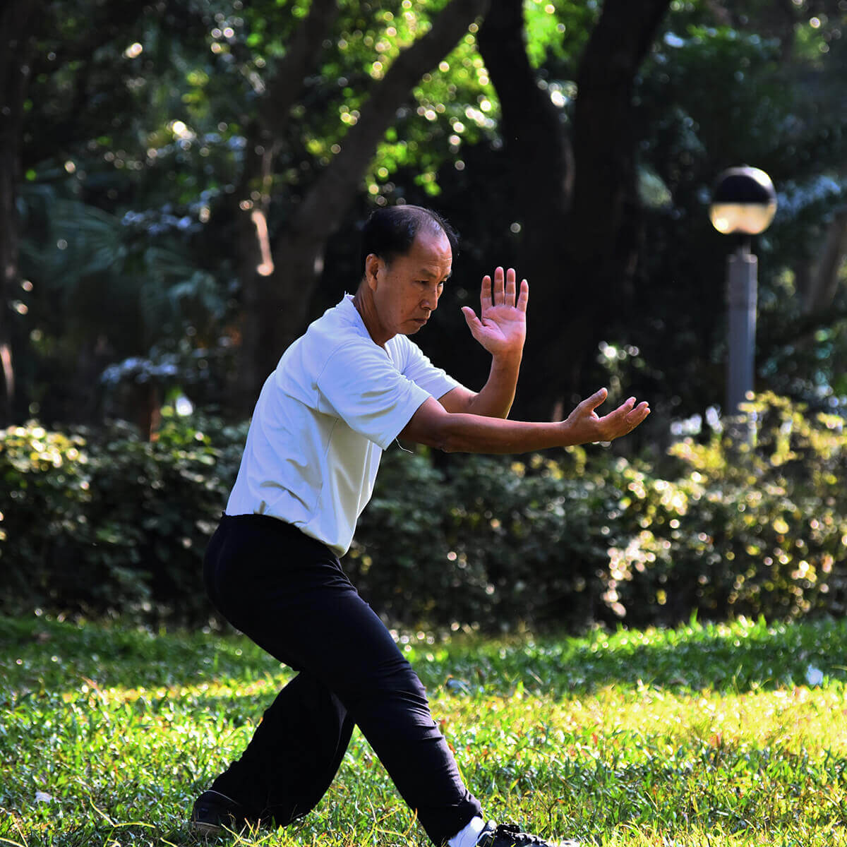 Chi Bewegung Chi Bewegung