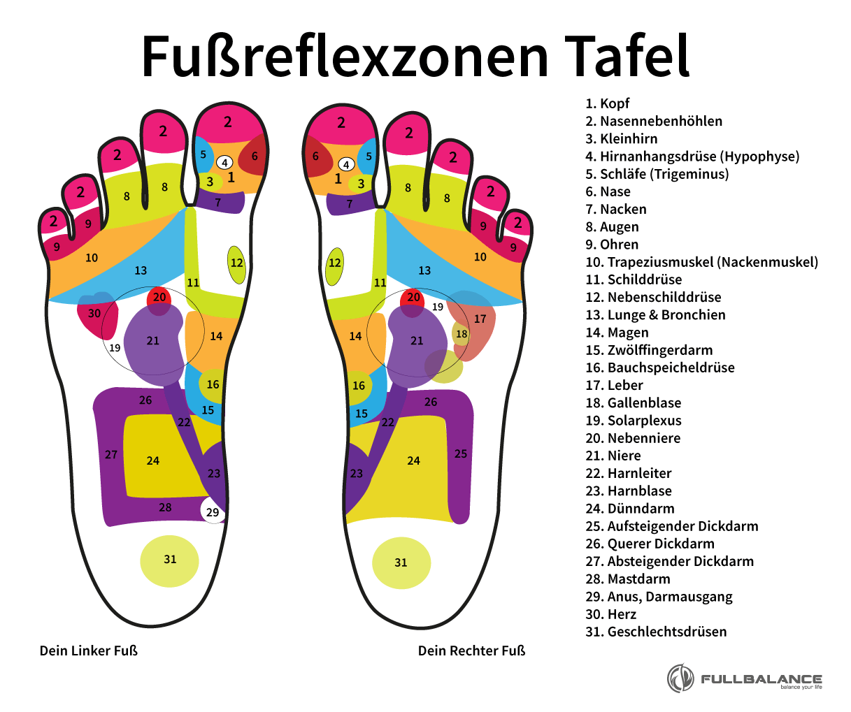 Fußreflexzonen Punkte Zonen Tafel Illustration