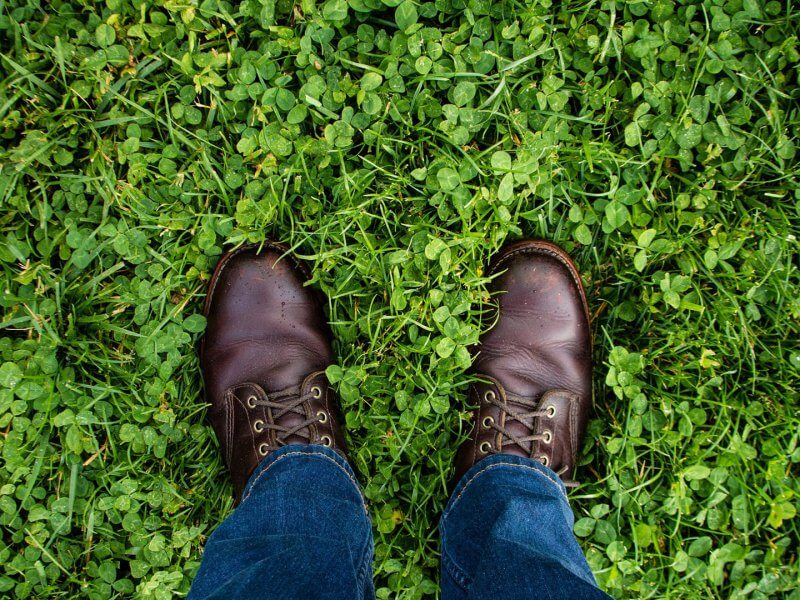 Wie CBD Öl die Nerven bei Restless Legs Syndrom schützen kann Wie CBD Öl die Nerven bei Restless Legs Syndrom schützen kann