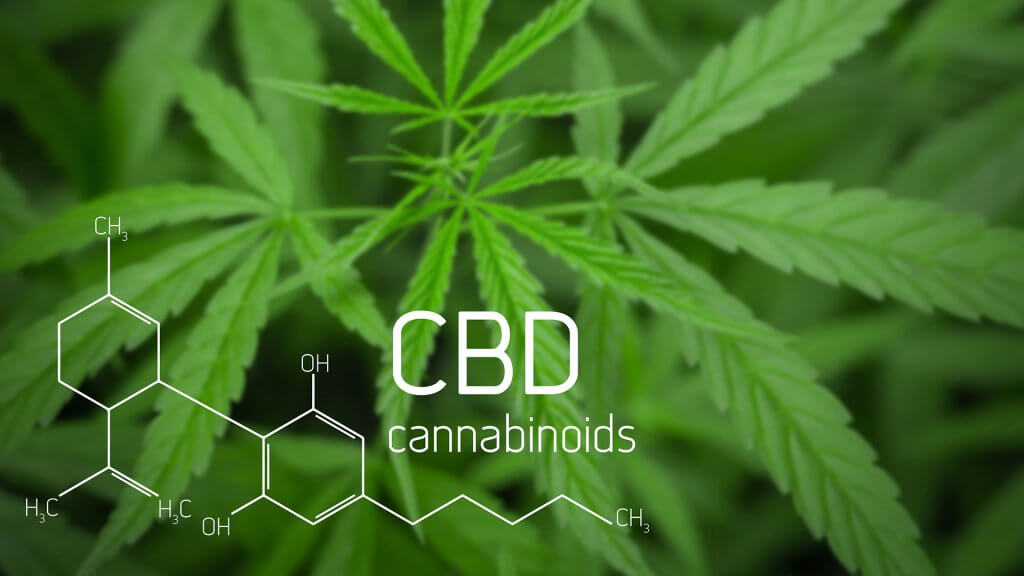 Die Heilkraft einer alten Pflanze - Cannabis CBD