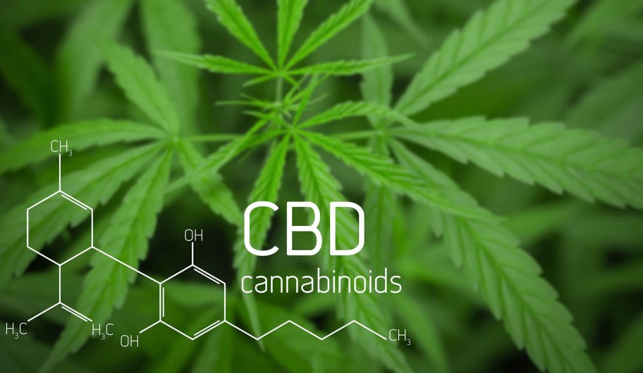 Die Heilkraft einer alten Pflanze - Cannabis CBD