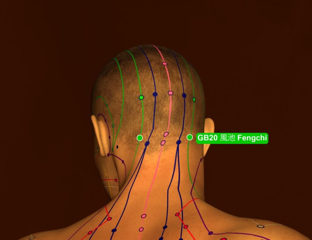 GB20 Fengschi Akupressurpunkt bei Kopfschmerzen und Migräne