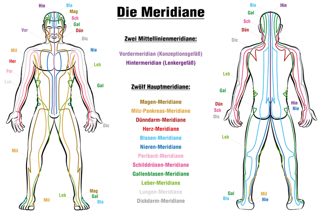 Meridiane - Wie funktioniert TCM?