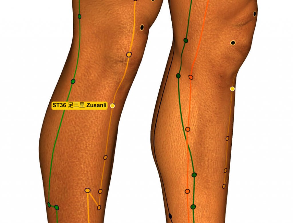 ST36 Zusanli Akupressurpunkt zur Entspannung