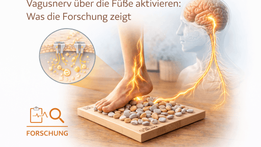 Illustration - zeigt Fuß Stimulation und mögliche Aktivierung des Vagusnervs